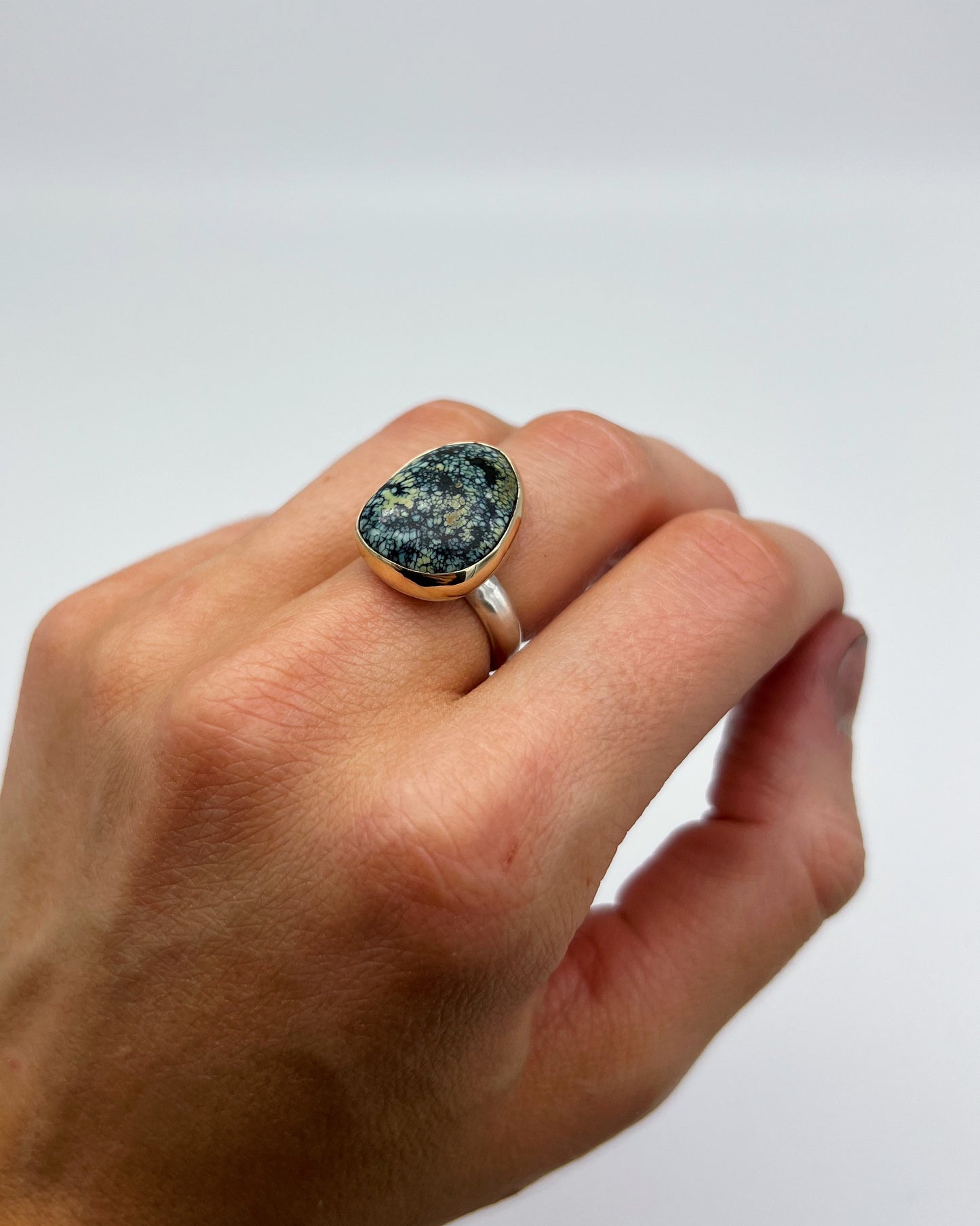 The Juxtaposition Ring, New Lander